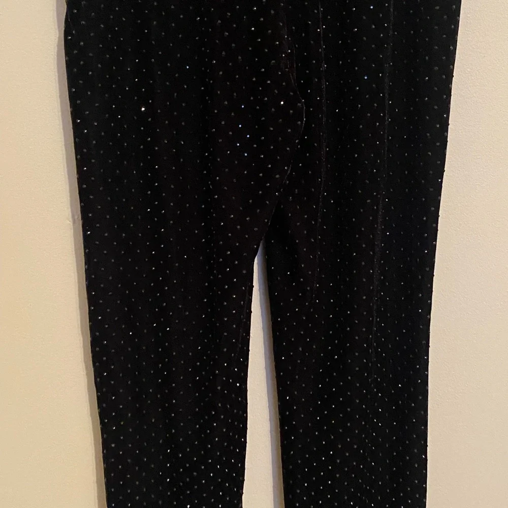 AKRIS PUNTO •Meva Crystal Pants Size 4 Like‎ New